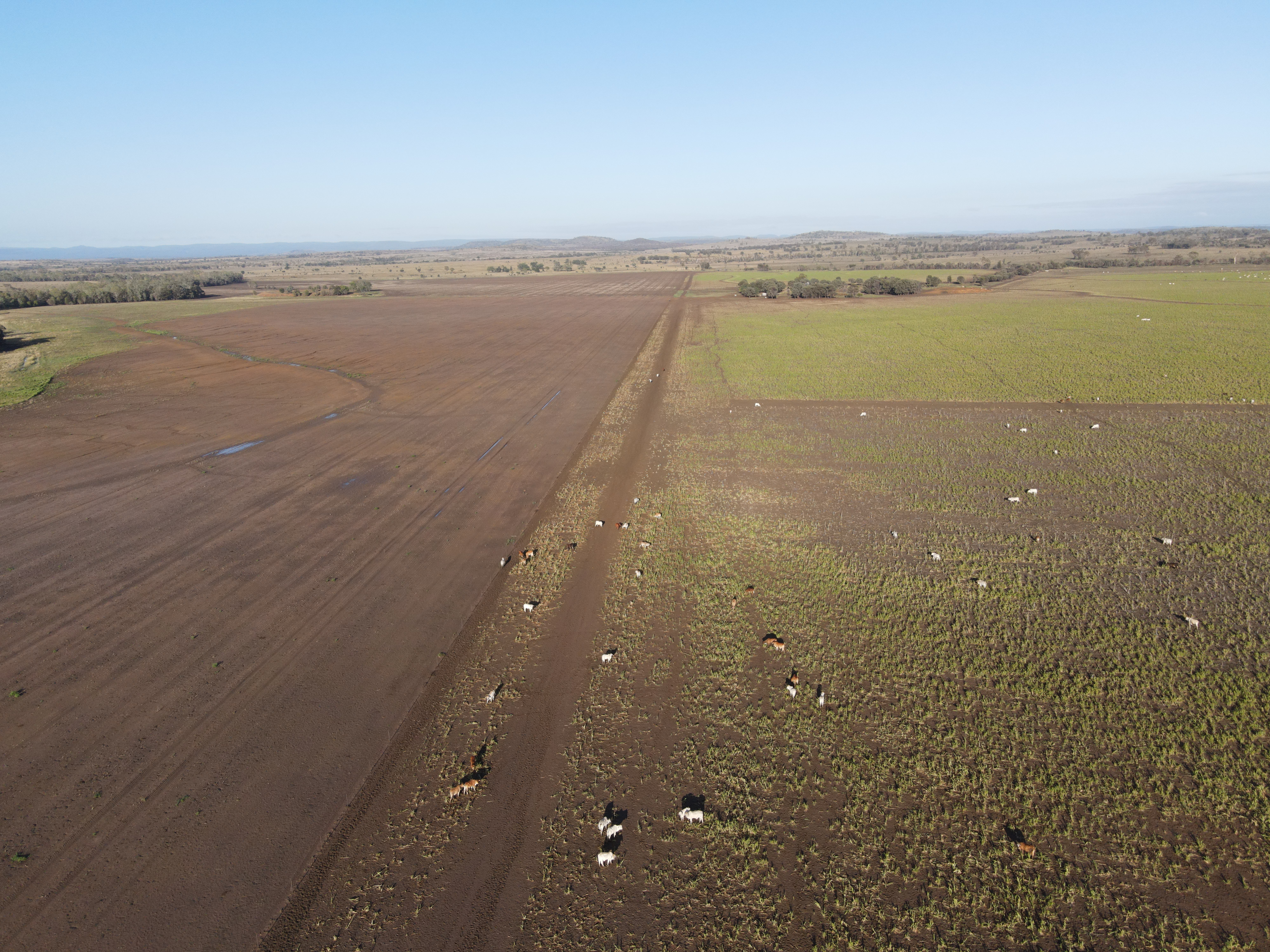 DJI_0227.jpg